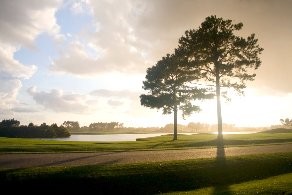 Myrtle Beach Golf Courses